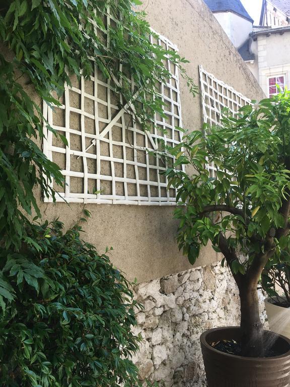 Maison Josephine Avec Garage Prive بلْوا المظهر الخارجي الصورة